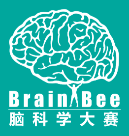 Brainbee-腦科學大賽