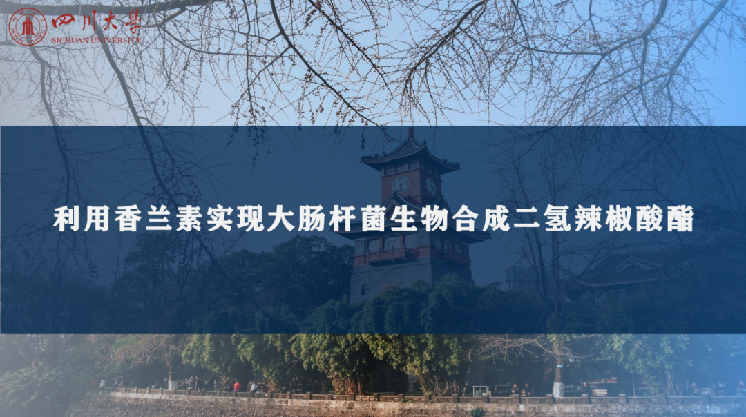 四川大學微生物應用設計大賽決(jue) 賽順利舉(ju) 辦！