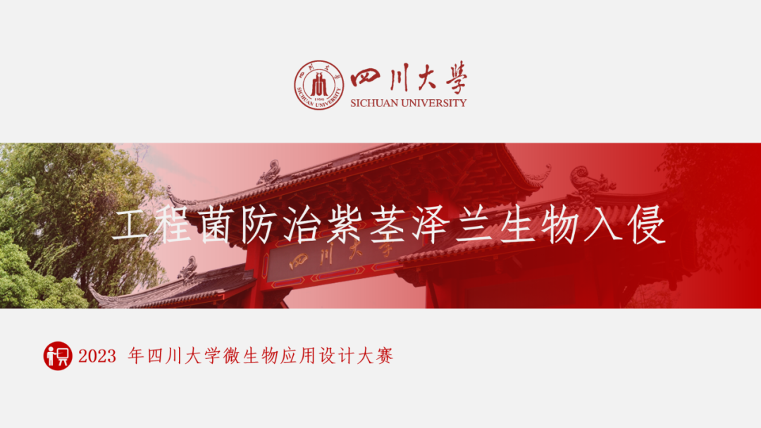 四川大學微生物應用設計大賽決(jue) 賽順利舉(ju) 辦！