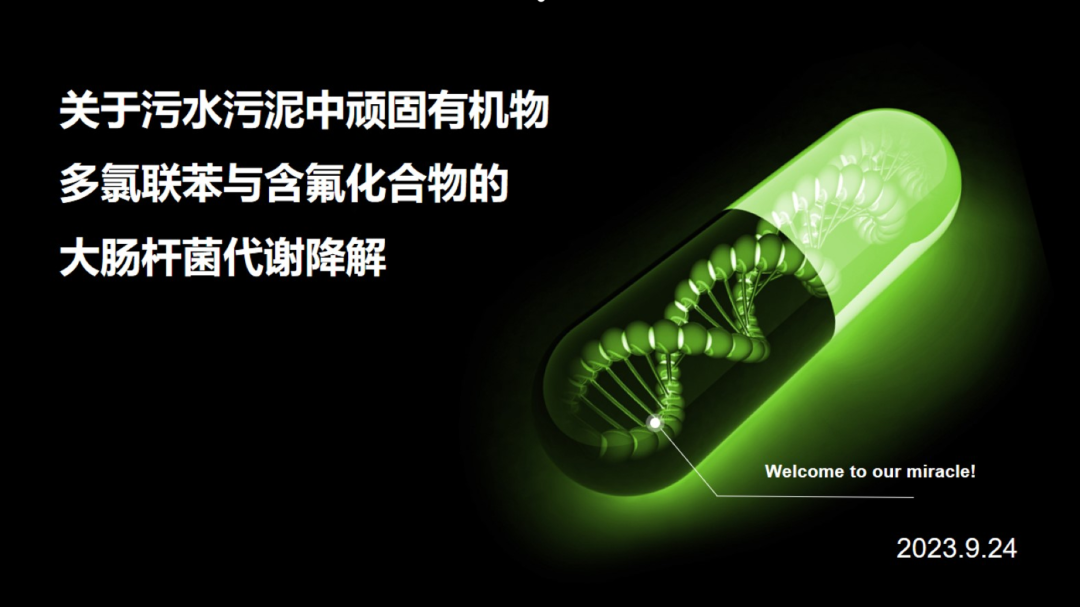四川大學微生物應用設計大賽決(jue) 賽順利舉(ju) 辦！