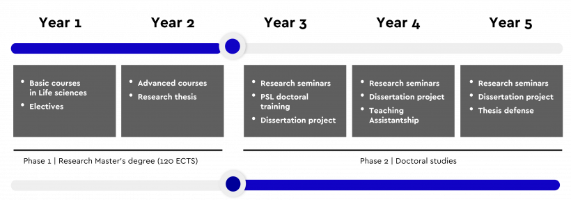 24fall申請季 | PSL碩博連讀PhD項目申請時間公布