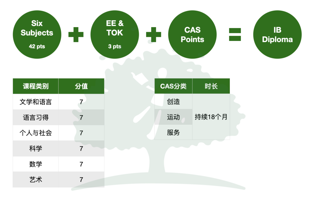 震驚！英國計劃推行全新IB課程！？