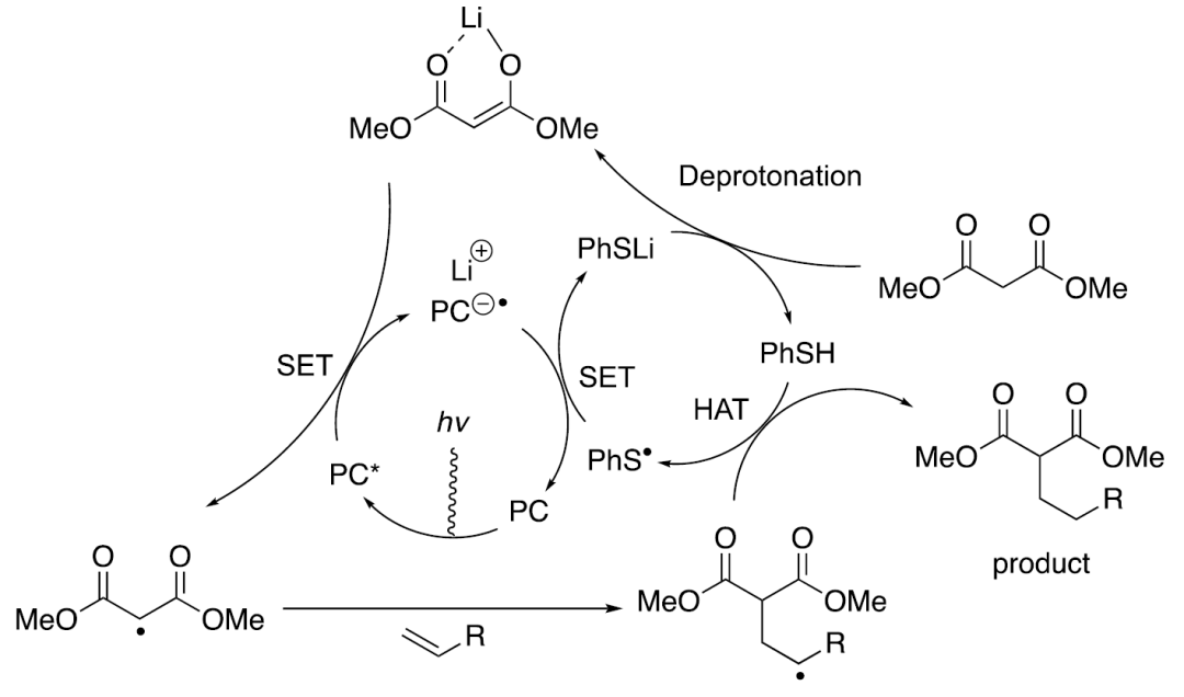 JACS Article：光誘導非活化烯烴與(yu) 活化亞(ya) 甲基的催化α-烷基化反應