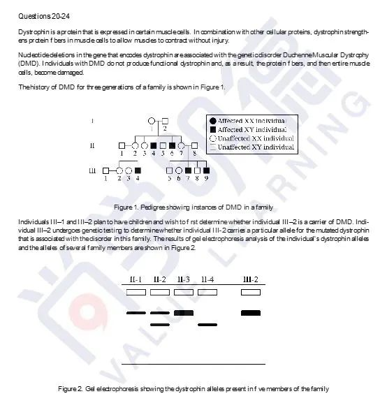 2024AP備考| AP生物考試分析及重難點梳理