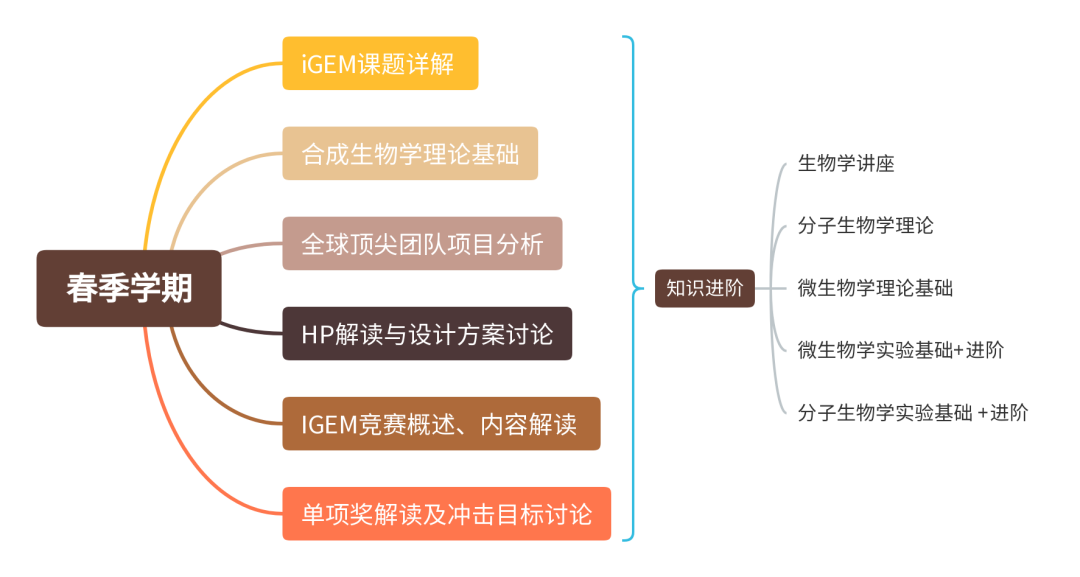 連續四年金獎！iGEM2024等你來挑戰！