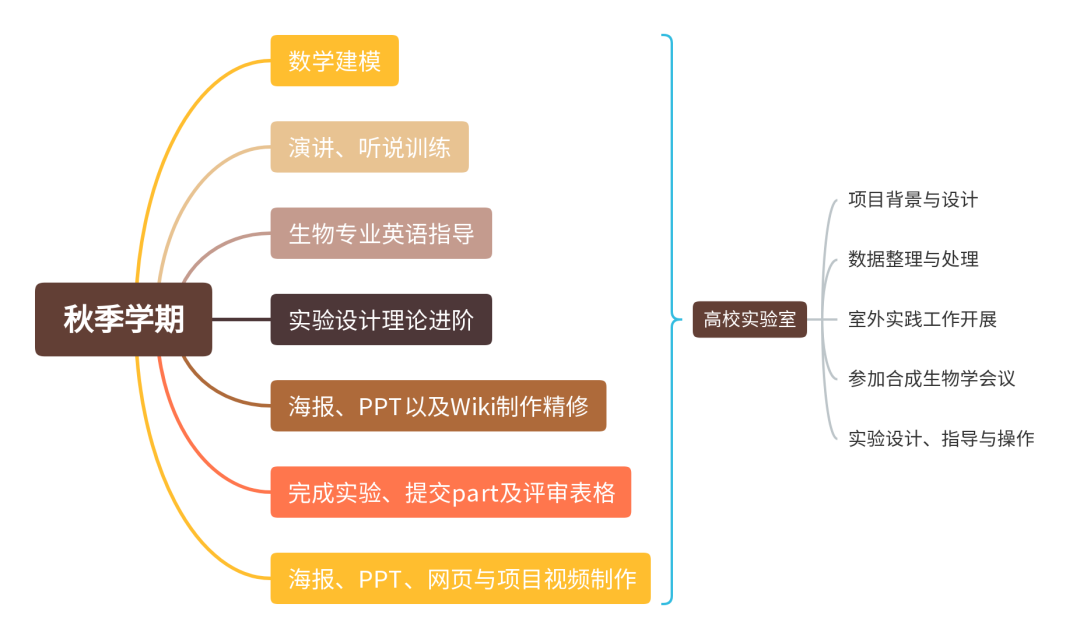 連續四年金獎！iGEM2024等你來挑戰！