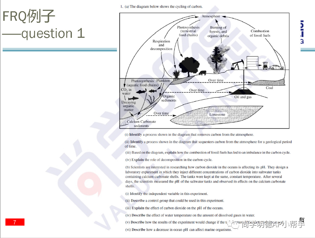 2024AP備考 | AP環境科學重難點梳理及備考方法