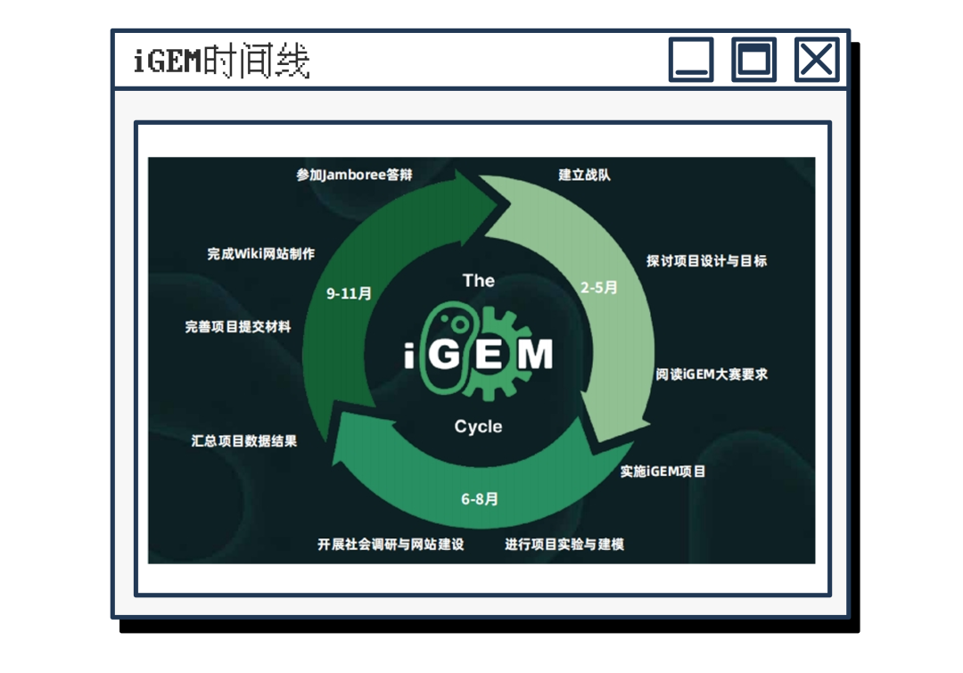 高中生頂級大賽組隊中！不限學科方向！iGEM金牌導師等你來