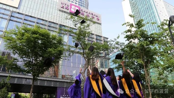 熱門中外合辦大揭秘：不出國享受國際教育