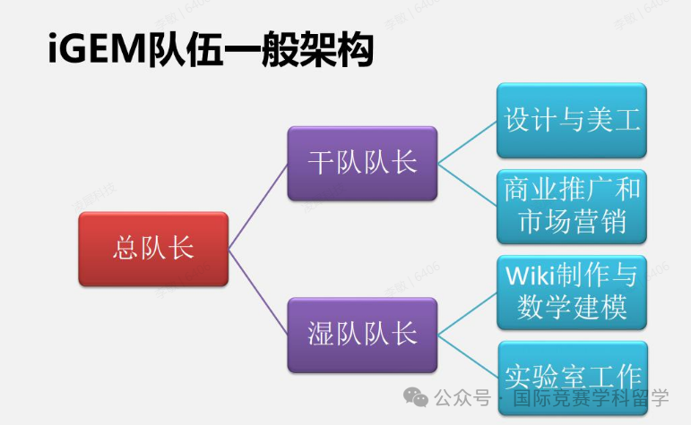 一文看懂iGEM競賽，iGEM競賽簡介/競賽規則/項目優(you) 勢/常見問答……