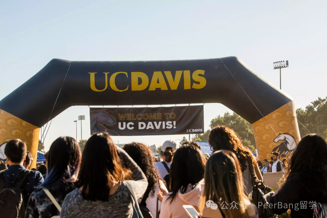 重磅！UC加州大學公布錄取數據，中國學生錄取有多少？