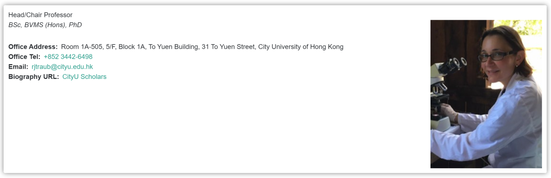 申請香港名校必看! 港城大導師全方位解析!