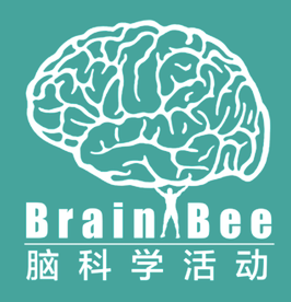 探索大腦奧妙，青春力量在行動！