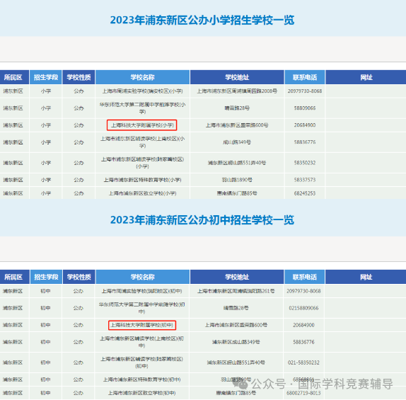 淺談上海三公變四公是不是真的？1-4年級上海“四公”備考規劃