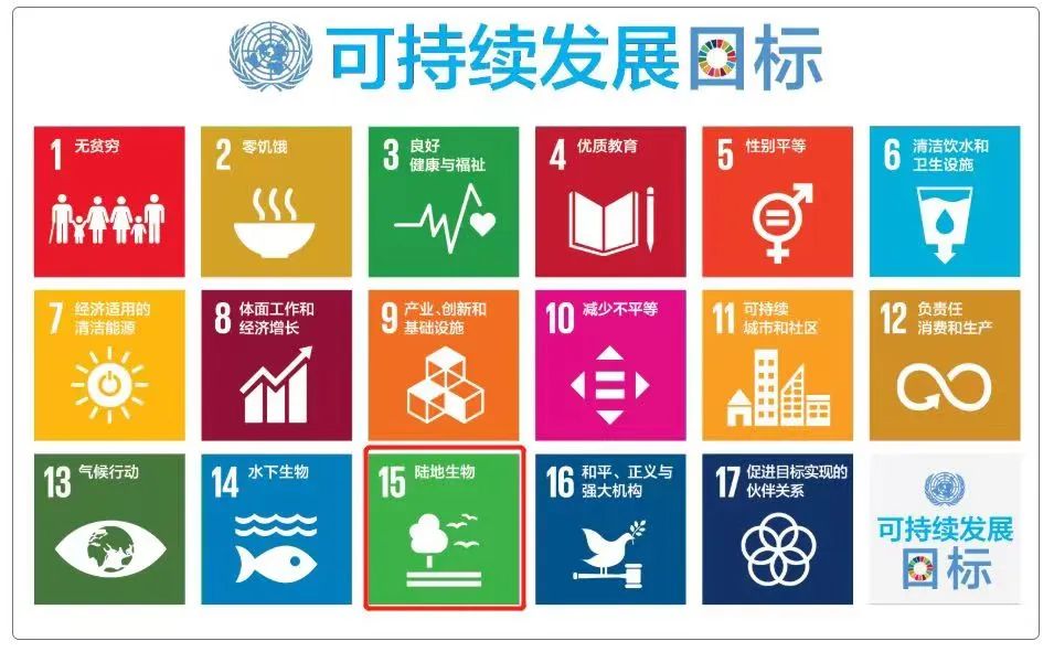 收藏：零基礎學生，科創入門全指南