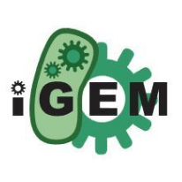 【國際|競賽】祝賀YiYe Academy 通過iGEM 2024官方認證！