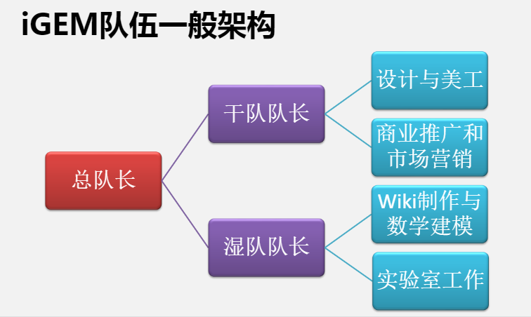 iGEM大賽是什麽(me) ？2024年iGEM大賽賽程介紹，附iGEM金犀班安排