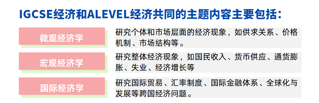 據說一年製A-level很難拿到G5 offer？2024年沒學IGCSE對Alevel有多大影響？