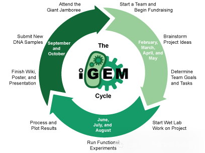 iGEM比賽——合成生物學領域天花板，暑期iGEM培訓開啟！