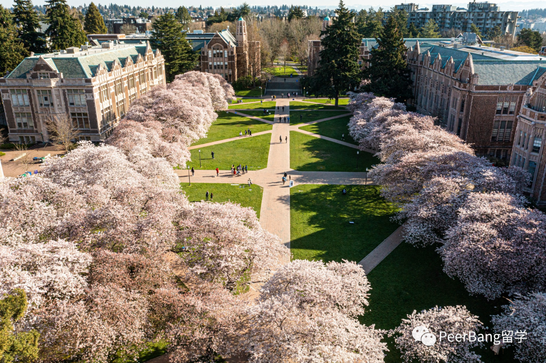 太香了！這所世界前10的美國大學，原來錄取率高達近50%！？