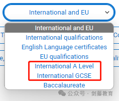 2024-25申請季UCAS英本申請係統填寫(xie) 指南更新！諸多細節變動,究竟該如何填寫(xie) ？
