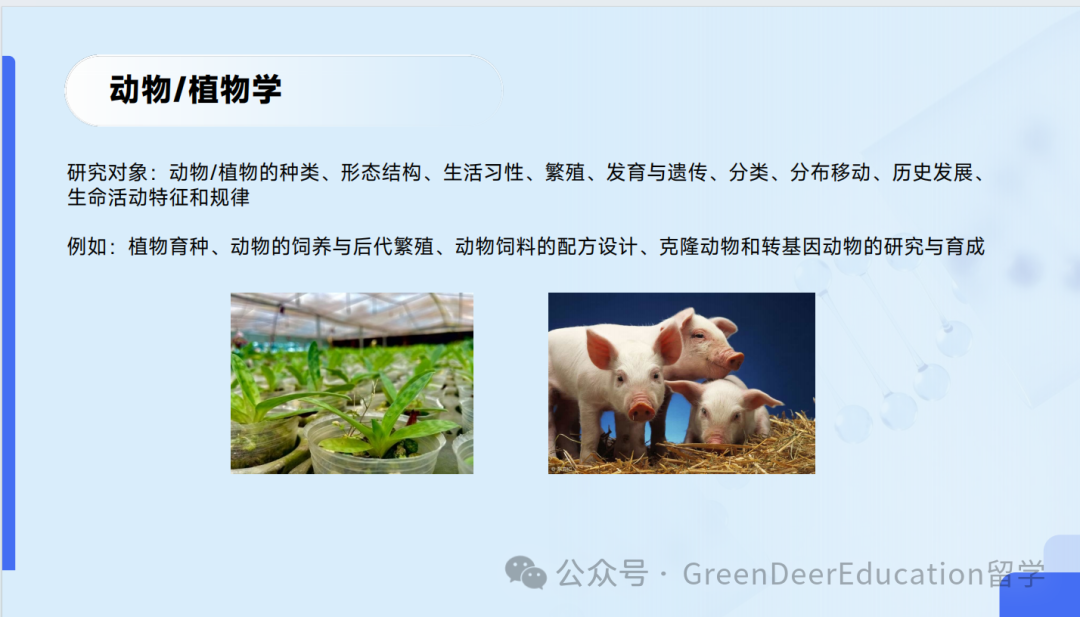 GreenDeer 本科專(zhuan) 業(ye) 探索 | 生物&化學