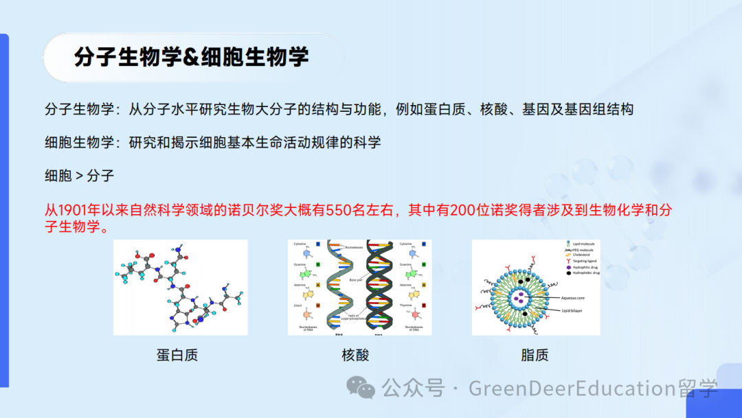 GreenDeer 本科專(zhuan) 業(ye) 探索 | 生物&化學