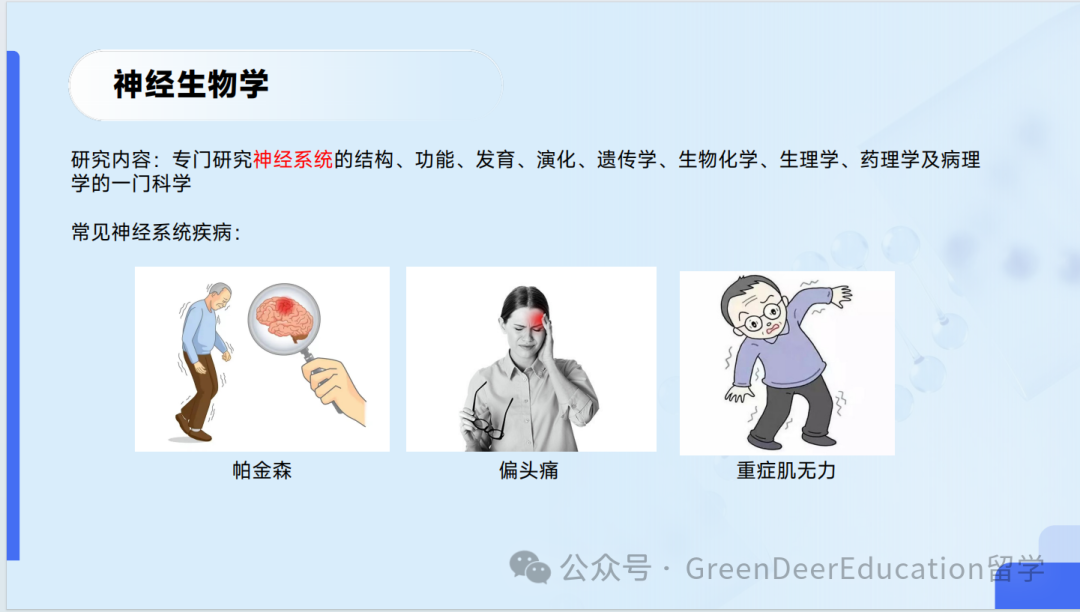 GreenDeer 本科專(zhuan) 業(ye) 探索 | 生物&化學