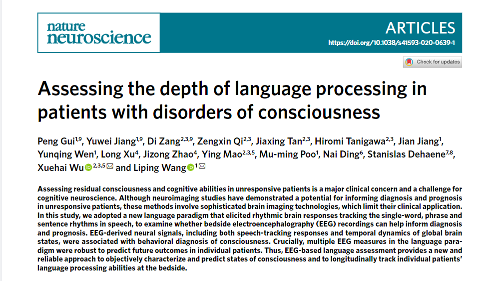 為(wei) 何腦神經科學如此重要？Alevel生物會(hui) 學習(xi) 哪些腦科學知識？