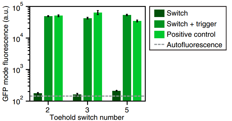 iGEM文獻分享——Toehold Switches