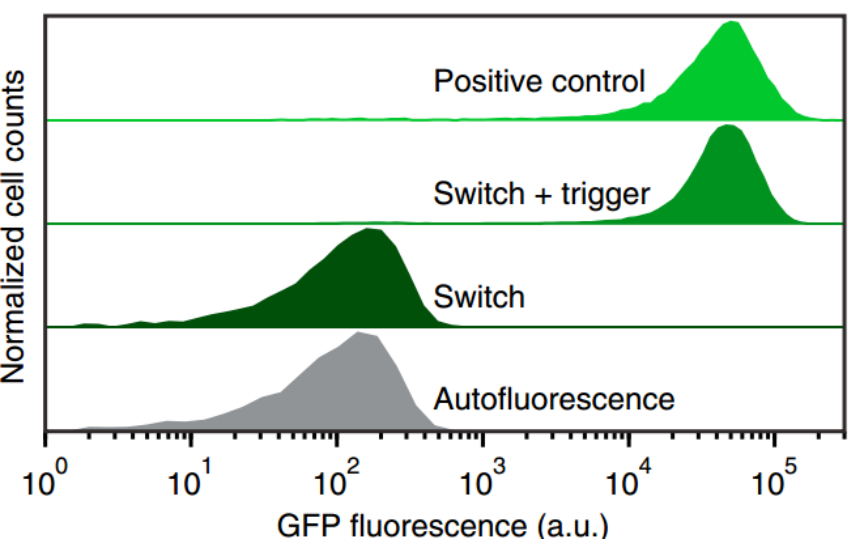 iGEM文獻分享——Toehold Switches