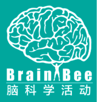 真香！下半年八大“頂流”競賽，悄悄備考驚豔所有人！