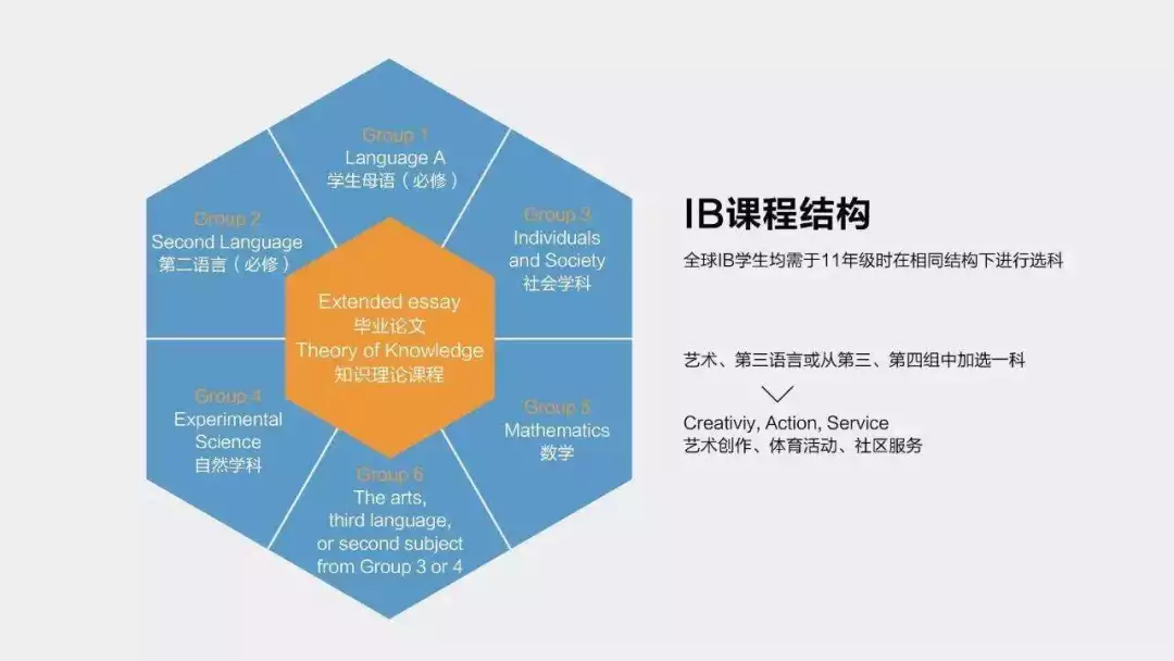 今日 , 高考！淺談一下體(ti) 製內(nei) 外教育升學路徑