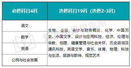 港人子弟學校遍地開花，DSE這塊蛋糕家長還能分多久？