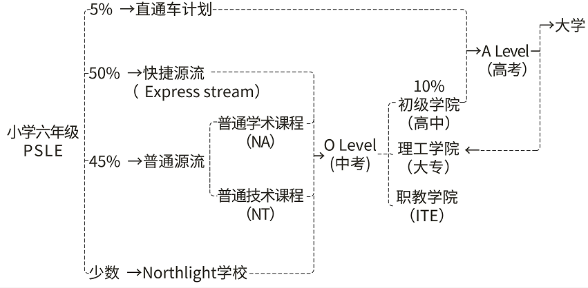中專(zhuan) 生薑萍數學競賽全球12名！中考生的出路，不止是普高……