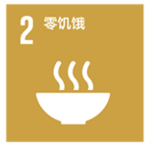 2024THE世界大學影響力排名公布！榜單上的美國大學有這些...