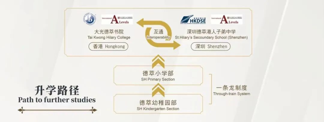 港人福音！深圳新增DSE學校，深圳德萃港人子弟中學本月還有入學考試！