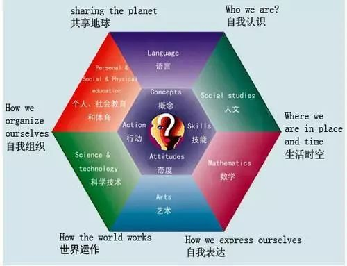 一文了解IB PYP的全部要點和特色
