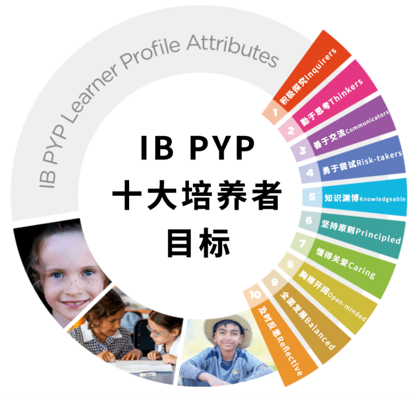 一文了解IB PYP的全部要點和特色