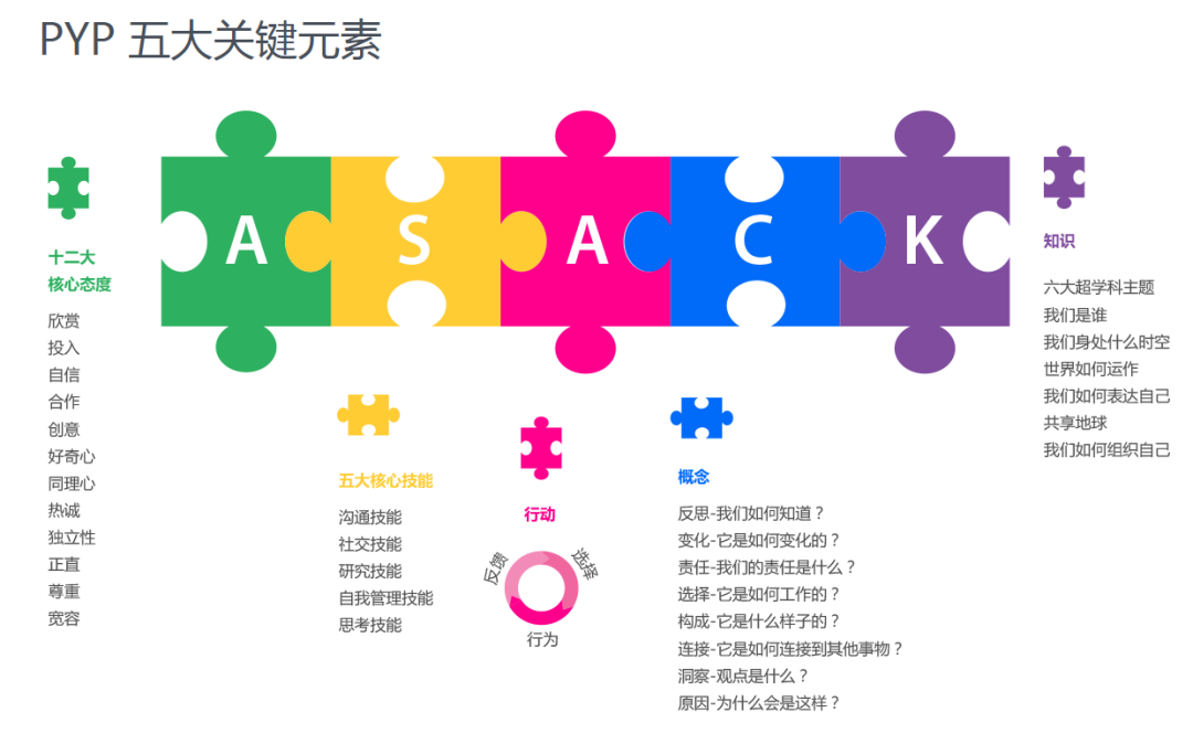 一文了解IB PYP的全部要點和特色