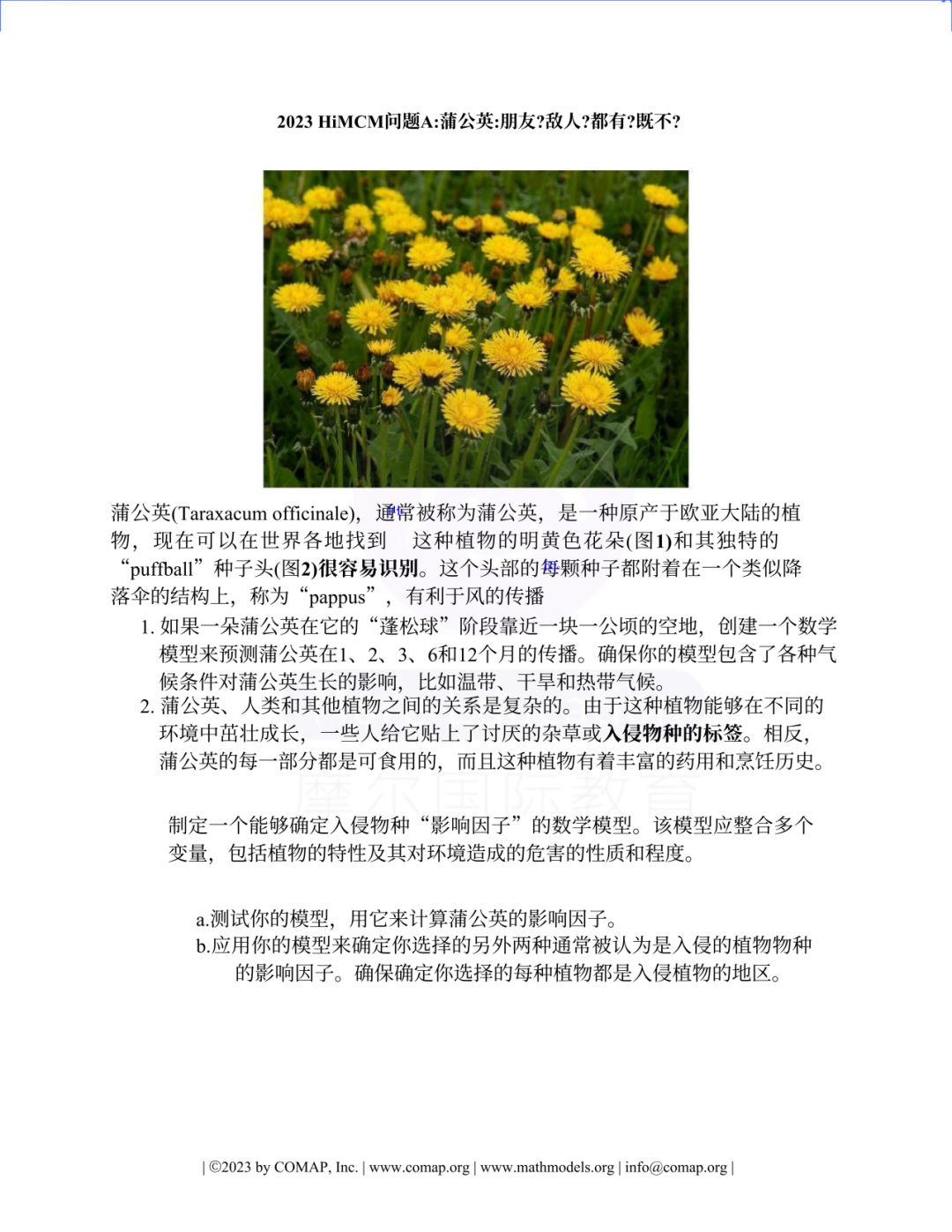 【國際|競賽】什麽(me) 是HiMCM數學競賽？附備考建議！