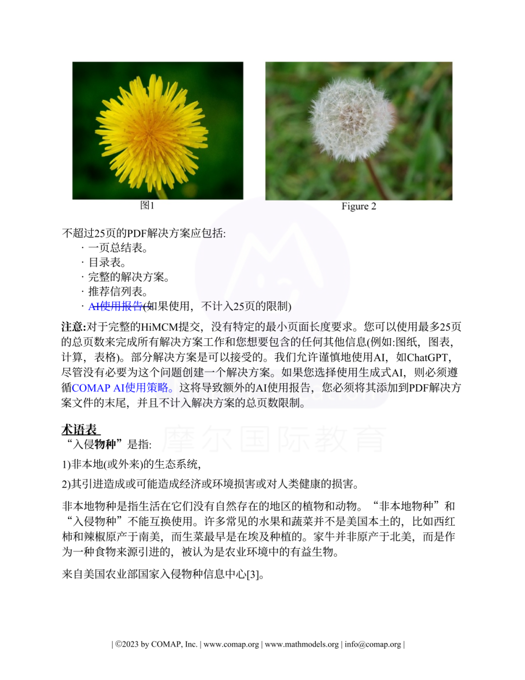 【國際|競賽】什麽(me) 是HiMCM數學競賽？附備考建議！
