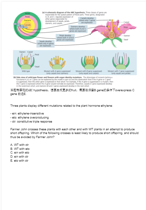 BBO和USABO競賽哪個(ge) 得獎率高？考多少分能得獎？