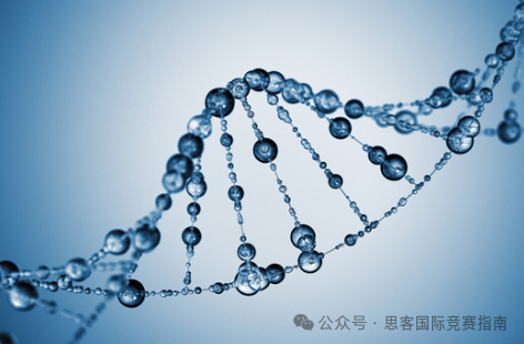 一文詳解BBO生物競賽！參加2025年BBO競賽看這篇就夠啦！