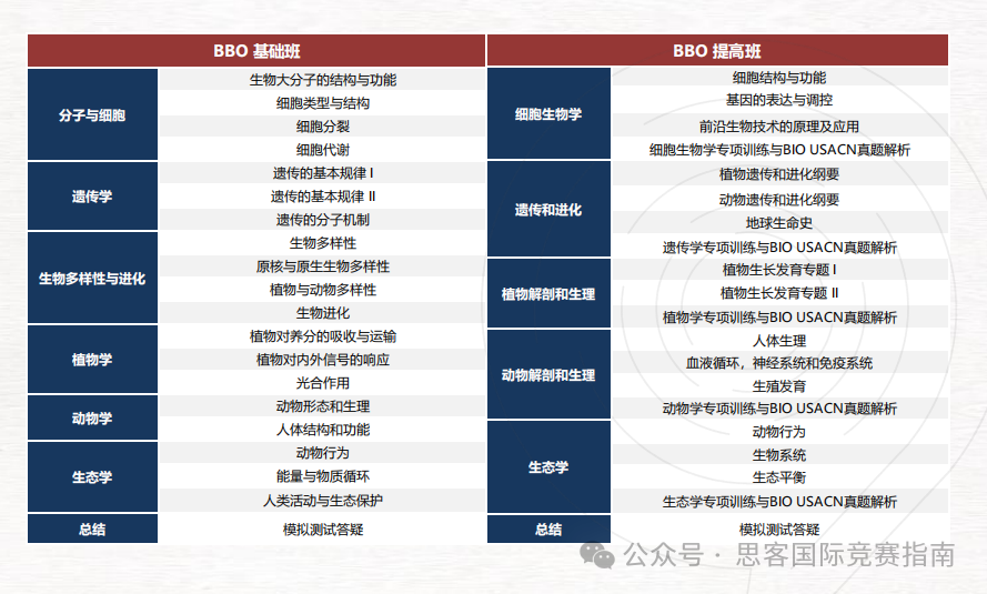 一文詳解BBO生物競賽！參加2025年BBO競賽看這篇就夠啦！