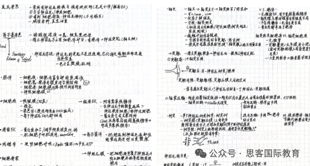 brainbee腦科學大賽考試題型是什麽(me) ？附brainbee曆年真題+知識點！