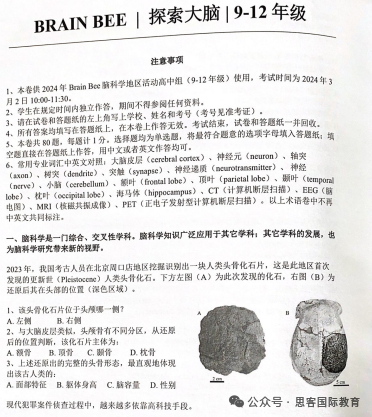 brainbee腦科學大賽考試題型是什麽(me) ？附brainbee曆年真題+知識點！