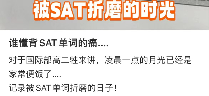 量太多、記不住、不會(hui) 用，單詞如何成了英語學習(xi) 的一生之敵？