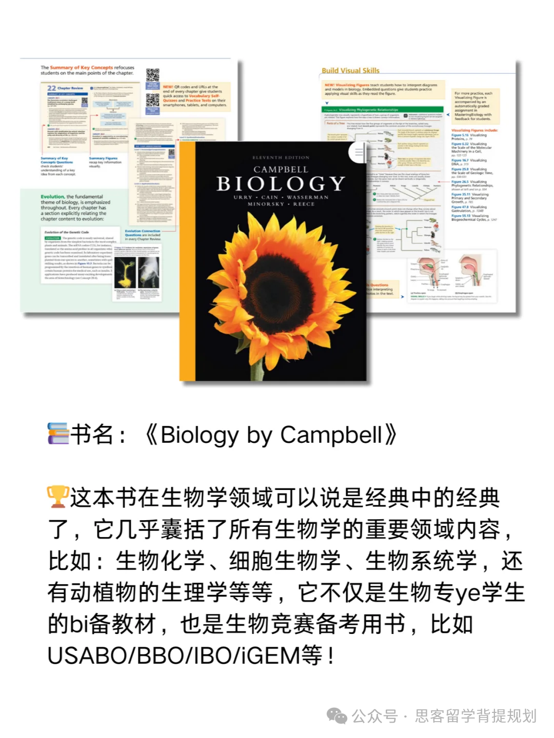 生物頂流競賽｜美國生物奧賽USABO詳解，bio usacn和USABO是什麽(me) 關(guan) 係？