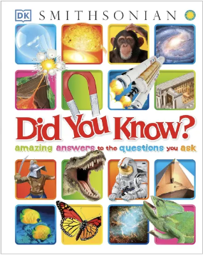 必備啟蒙英語百科全書(shu)  - DK Did You Know?